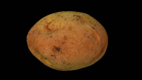 Rotating Potato on Transparent Backgroun... | Stock Video | Pond5