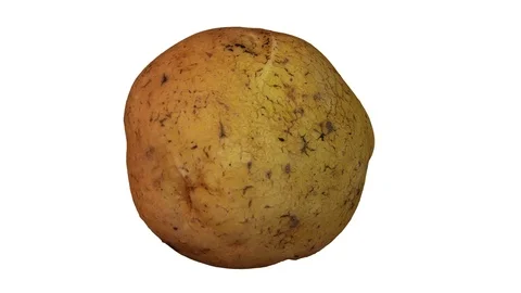 Rotating Potato on White Background Stock Footage 92269880