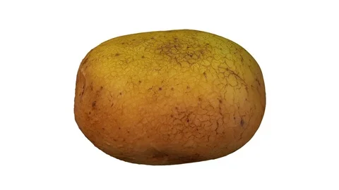 Rotating Potato on White Background Stock Footage 92271135