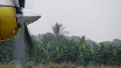 Rotating propeller of a small airplane against the backdrop of the jungle Stock Footage 261949865