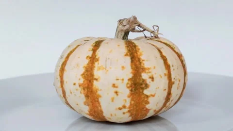 Rotating Pumpkin 1 Stock Footage 286272948