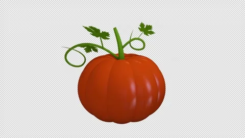Rotating pumpkin 3D model on a seamless loop Stock Footage 283283334