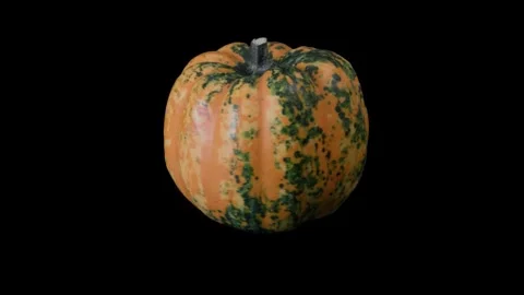 Rotating pumpkin on dark background Vidéo 318988376
