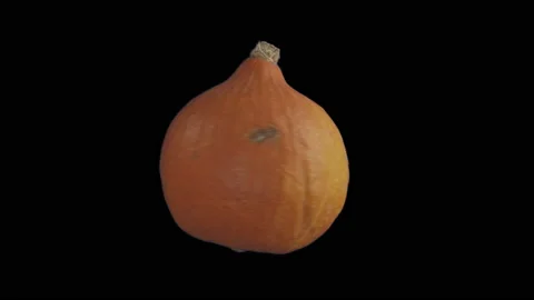 Rotating Pumpkin Stock Footage 234804869
