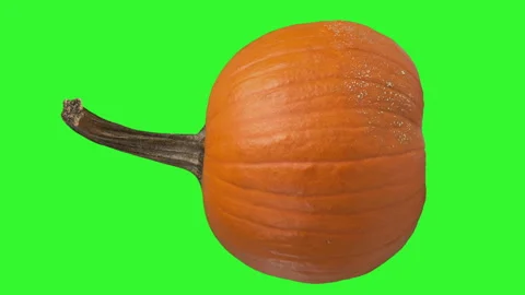 Rotating Pumpkin on Green Screen in Seamless Loop Stock-Footage 319746982