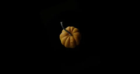 Rotating Pumpkin Isolated Element Stock Footage 315801065
