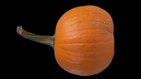 Rotating Pumpkin with Luma Matte on Black Background in Seamless Loop Stock-Footage 319747084