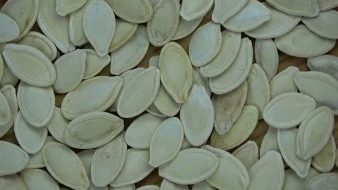 Rotating pumpkin seeds  background Video stock 75616556