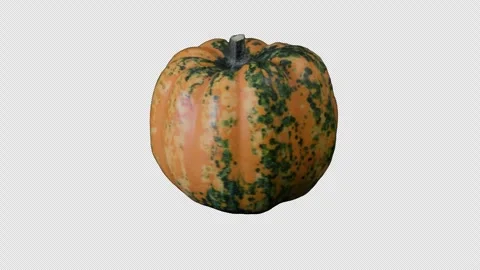 Rotating pumpkin on transparent background Stock-Footage 318988476