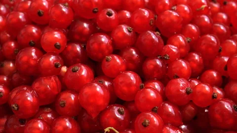 Rotating Purified Red Currant. Stock Footage 90937162