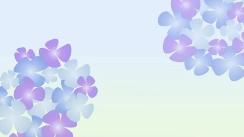 Rotating Purple Hydrangea Flowers Loop Animation Видео 335189575
