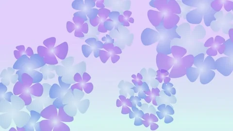 Rotating Purple Hydrangea Flowers Loop Animation Видео 335189579
