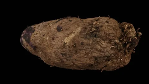 Rotating Purple Yam on Black Background (Looping) Stock Footage 146876992