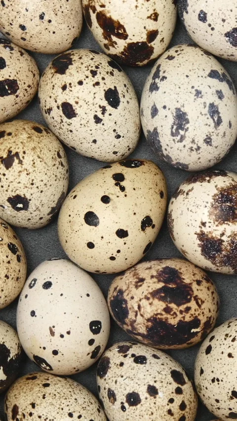 Rotating Quail Eggs On A Black Plate On A Black Background. Top View. Close Up.  Stock Footage 266457656