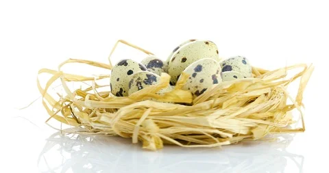 Rotating quail eggs in nest Stock Footage 102527215