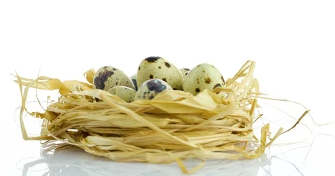 Rotating quail eggs in nest Stock Footage 102529433