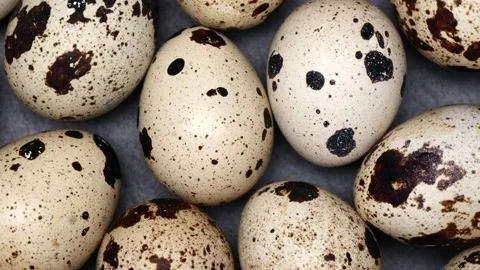 Rotating Quail Eggs On A Slate Tray. Top View. Close Up. Stock Footage 163997748