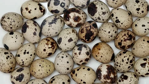 Rotating Quail Eggs On A White Plate On A White Background. Top View. Close Up. Stock Footage 163590267