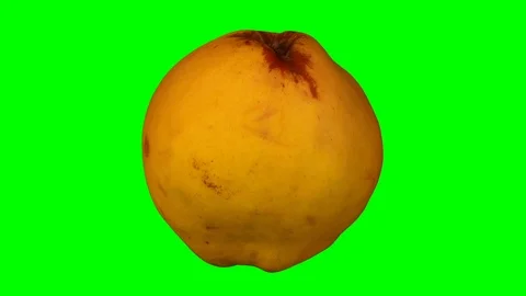Rotating Quince on Green Background (Looping) Stock Footage 93378769