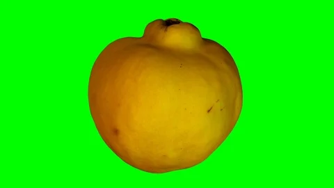 Rotating Quince on Green Background (Loo… | Stock Video | Pond5