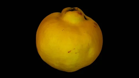 Rotating Quince on Transparent Background (Looping with Alpha Channel) Stock Footage 93363660