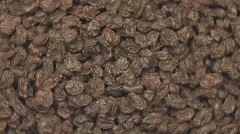 Rotating Raisins Loop Stock Footage 8974580
