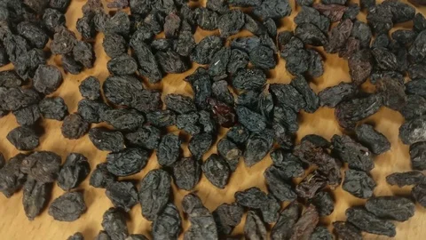 Rotating raisins v.4 Stock Footage 75678365