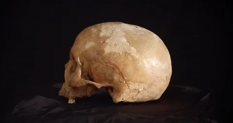 Rotating real human skull, black background, medium shot 4K Stock Footage 106466438