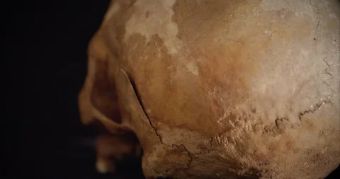Rotating real human skull close shot, black background,  4K Stock Footage 106466459