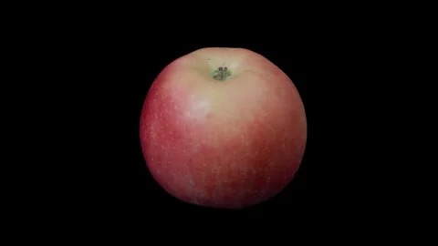 Rotating red apple on dark background Vidéo 318979568