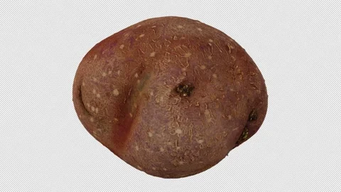 Rotating Red Bliss Potato on Transparent Background (Looping with Alpha Channel) Stock Footage 139837076