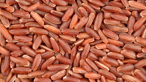 Rotating Red Brown Rice Macro Close Up Nutritious Texture Stock Footage 325015201