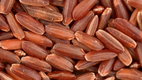 Rotating Red Brown Rice Macro Close Up Nutritious Texture Stock Footage 325019470