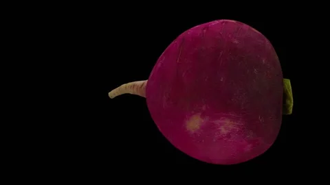 Rotating Red Radish on Black Background (Looping) Video stock 148596560