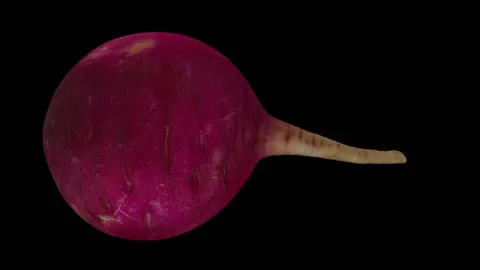Rotating Red Radish on Black Background (Looping) Stock Footage 148597069