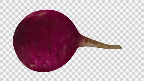 Rotating Red Radish on Transparent Background (Looping with Alpha Channel) Stock Footage 148597012