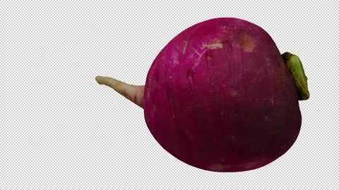 Rotating Red Radish on Transparent Background (Looping with Alpha Channel) Stock Footage 148597407