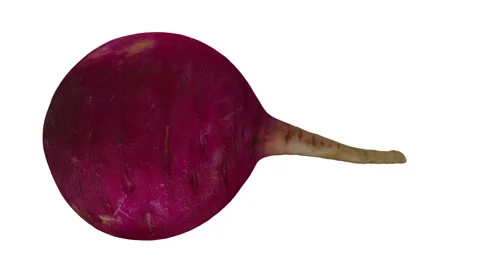 Rotating Red Radish White Background (Looping) Stock Footage 148597100