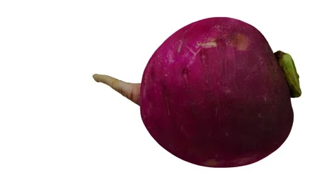 Rotating Red Radish White Background (Looping) Stock Footage 148597479