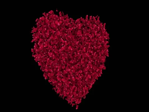 Rotating Red Rose Sakura Flower Petals In Heart Shape Alpha Matte Loop 4k Stock Footage 71444382