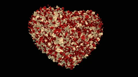 Rotating Red White Rose Flower Petals In Heart Shape Alpha Channel Loop 4k Stock Footage 96158763