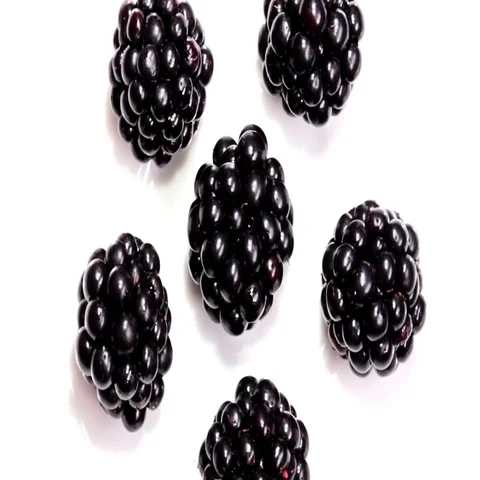 Rotating Ripe Blackberries Stock Footage 69534524