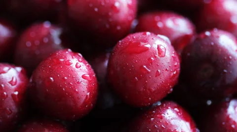 Rotating Ripe Cherries 4 Stock Footage 58819364
