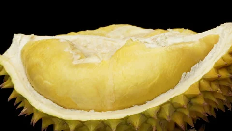 Rotating Ripe Durian Fruit Pulp on Shell Black Background Stock Footage 327551585