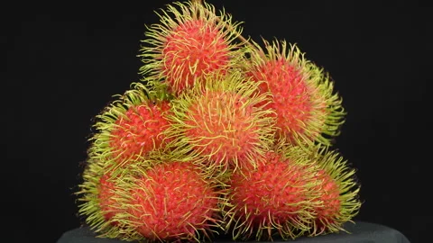 Rotating Ripe Red Rambutan Fruit Bunch on Black Background Stock Footage 336317905