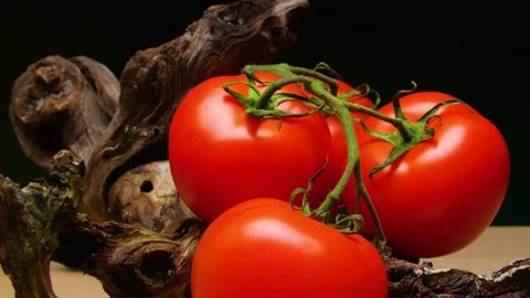 Rotating ripe red tomatoes on a branch against a black background. Stock Footage 335212127