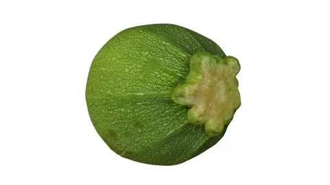 Rotating Round Zucchini on white Background Stock Footage 80594188