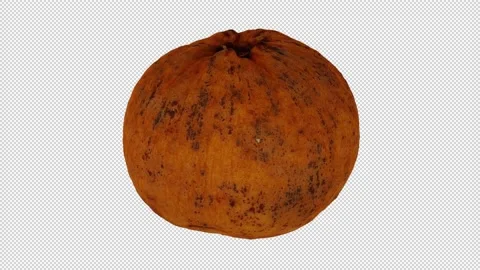 Rotating Santol on Transparent Background (Looping with Alpha Channel) Stock Footage 146823268