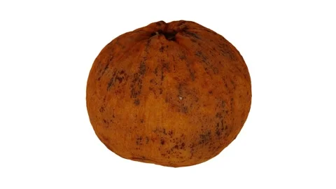 Rotating Santol White Background (Looping) Stock Footage 146824968