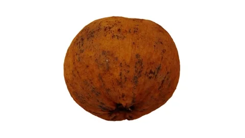 Rotating Santol White Background (Looping) Stock Footage 146825324